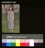 藏品(日治台灣美人明信片)的圖片